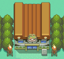 Safari Zone