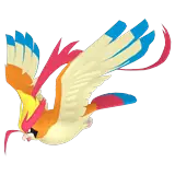 Mega Pidgeot
