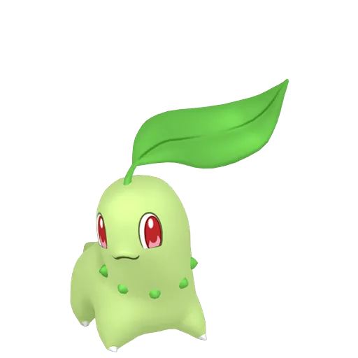 Chikorita
