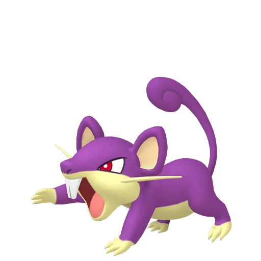 Rattata