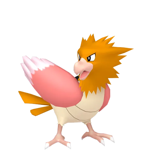 Spearow