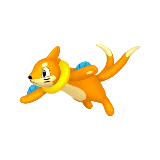 Buizel