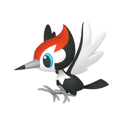 Pikipek