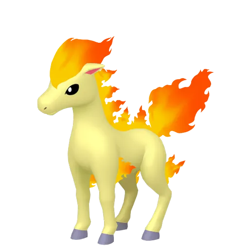Ponyta